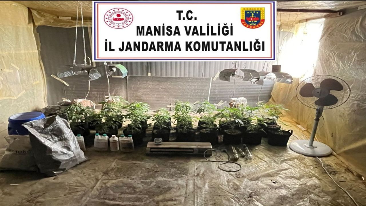 Akhisar'da evine iklimlendirme sistemi kurup 26 kök kenevir yetiştiren şüpheli yakalandı