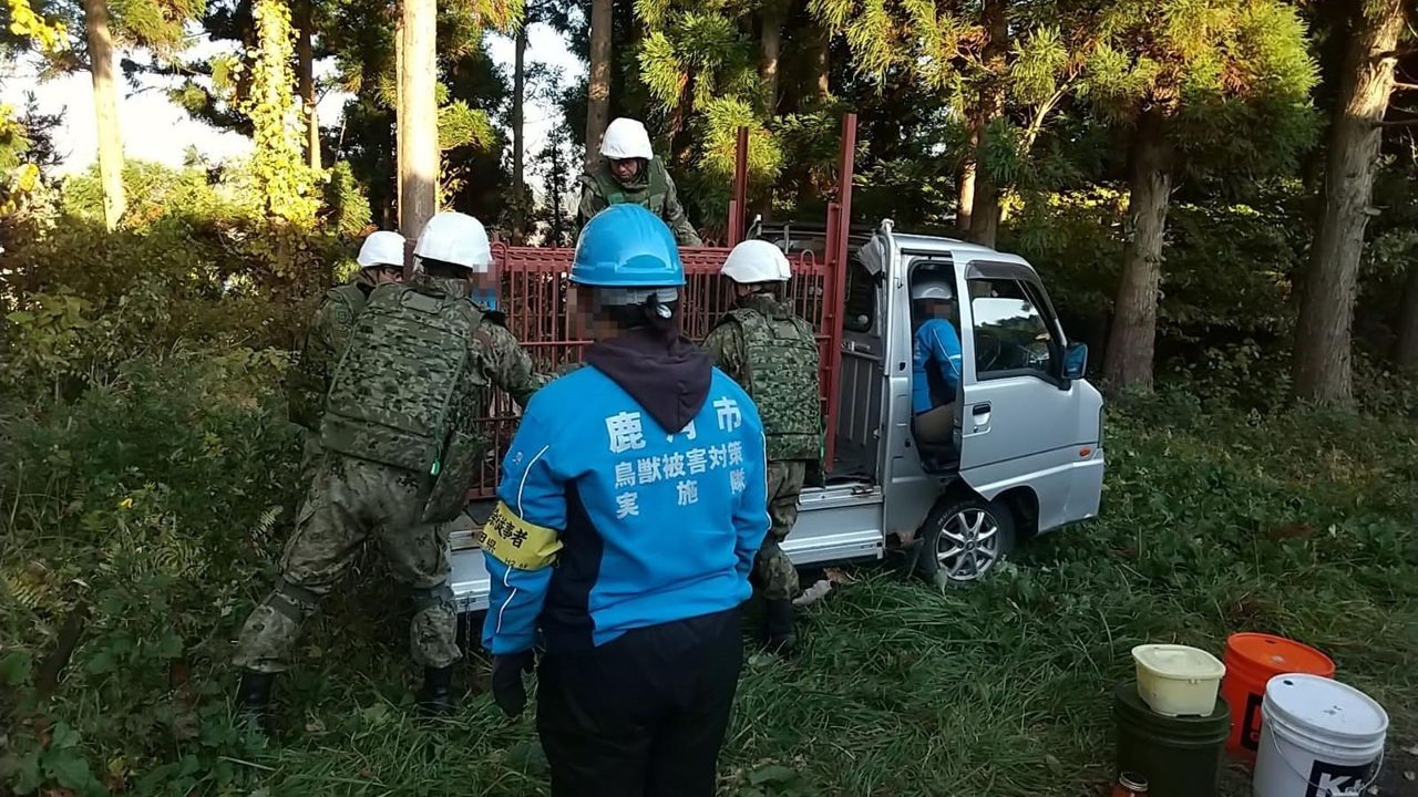 Akita'da artan ayı saldırıları nedeniyle Öz Savunma Kuvvetleri (SDF) bölgeye sevk edildi