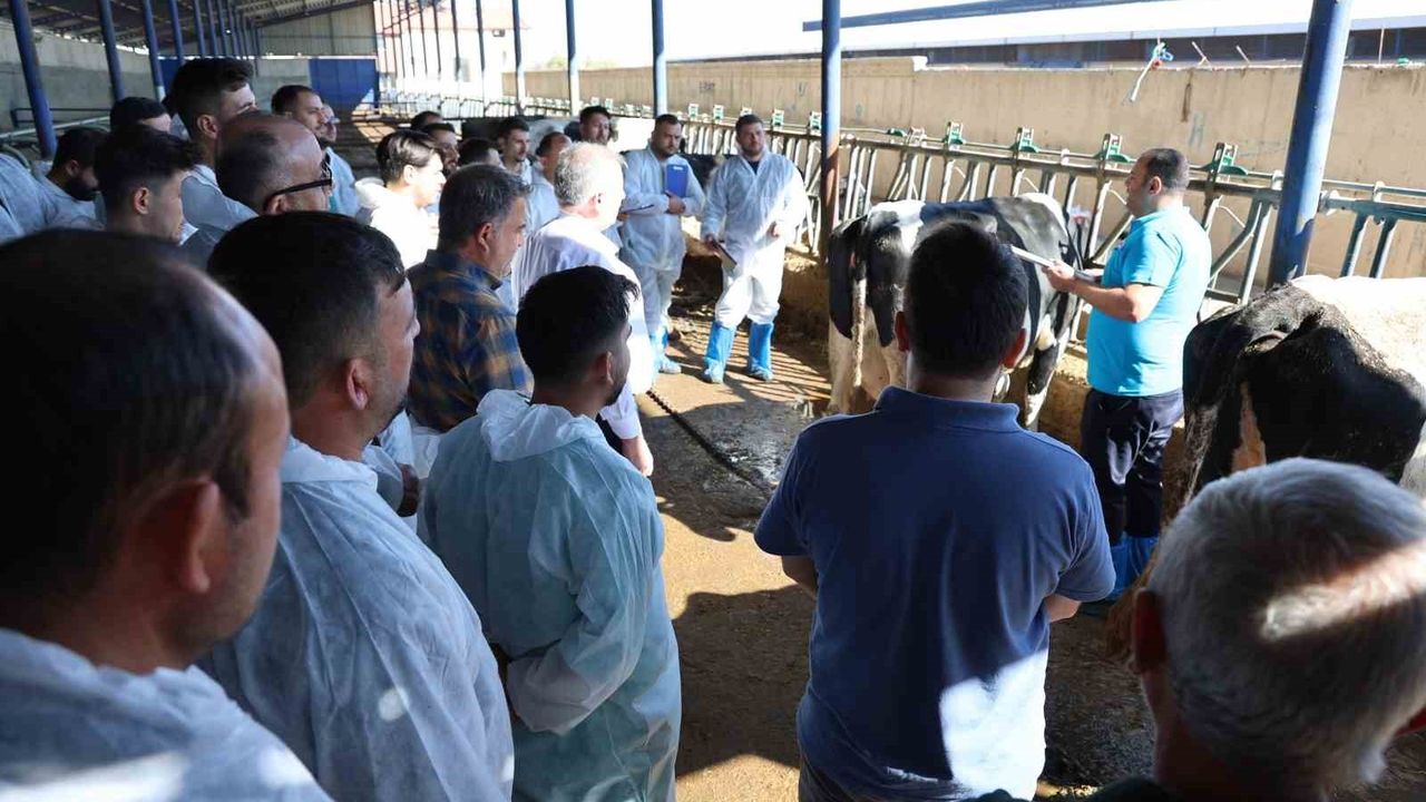 Aksaray'da 60 ilin Damızlık Sığır Yetiştiricileri Birliği personeline uygulamalı tip sınıflandırma eğitimi