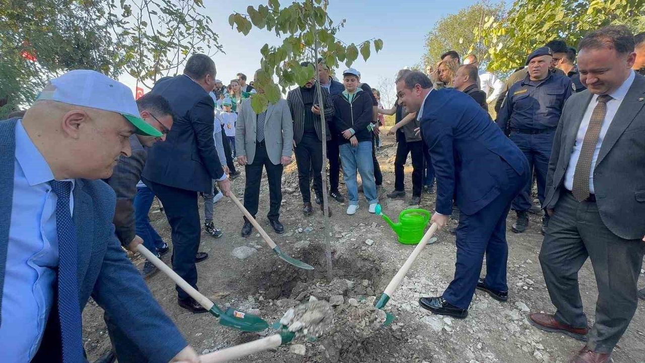 Alaplı'da 11 Kasım 2025'te 'Geleceğe Nefes' Fidan Dikimi Gerçekleştirildi