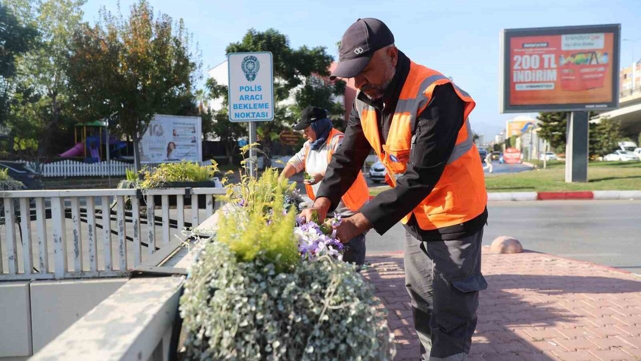 Antalya’da 4 milyon kışlık çiçek kent silüetini renklendiriyor