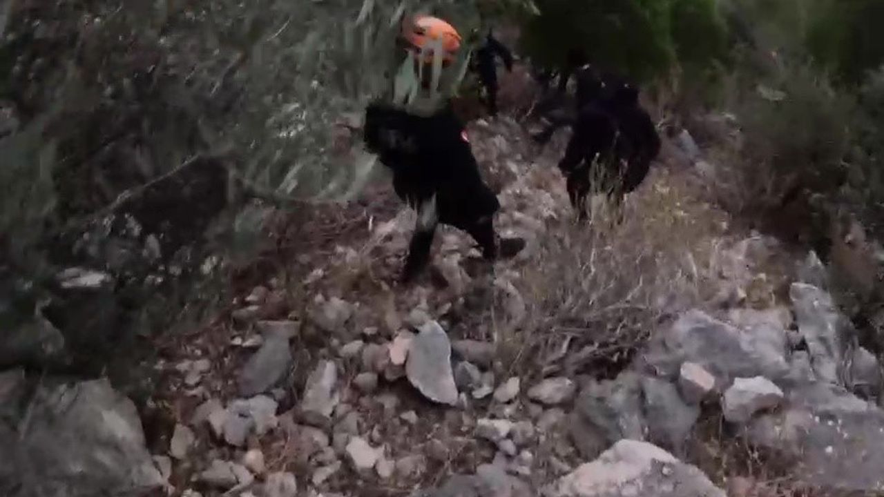 Antalya'da Arapuçtu Dağı'nda Mahsur Kalan 2 Genç JAK ve AFAD tarafından kurtarıldı