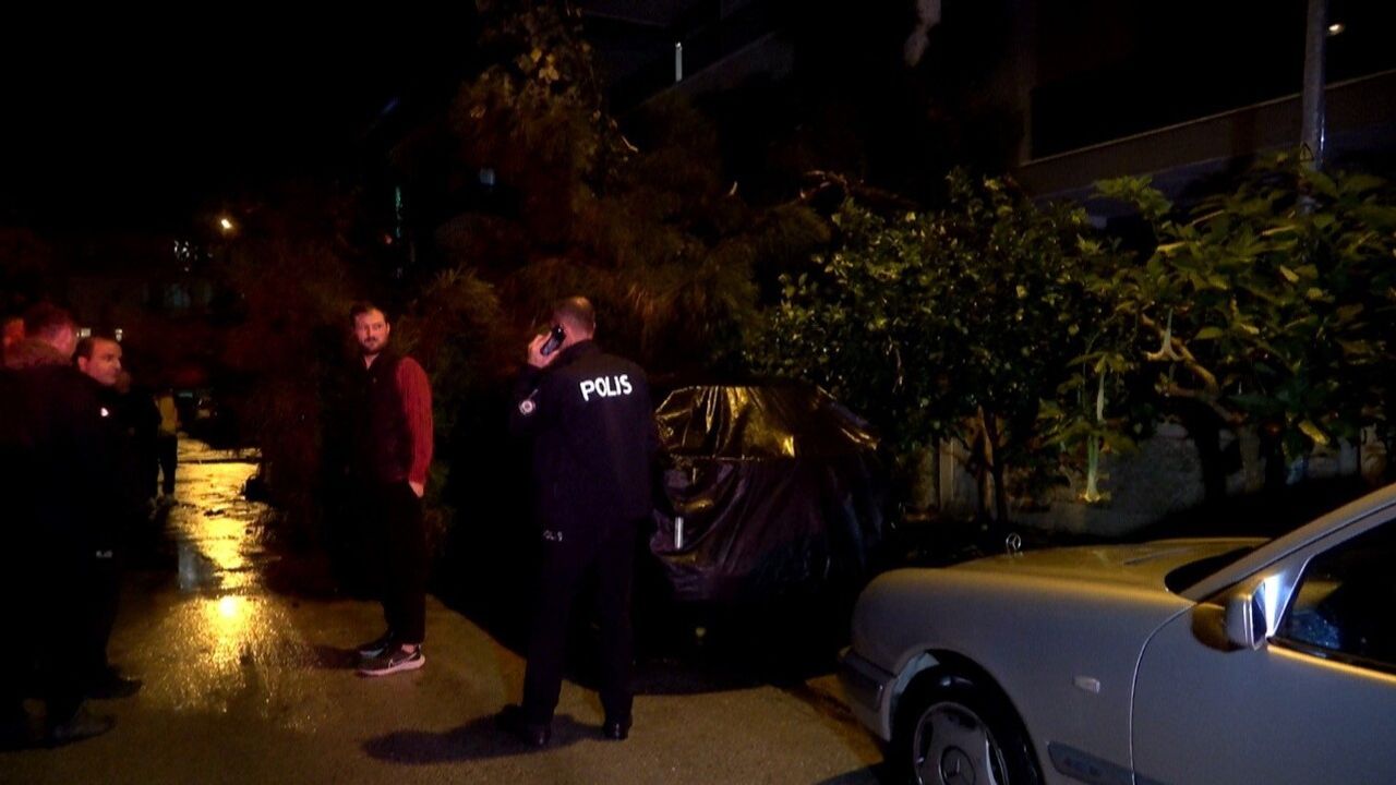 Antalya'da sarı alarm: Gürsu Mahallesi'nde 10 metrelik ağacın devrilmesi iki araca ve binaya zarar verdi