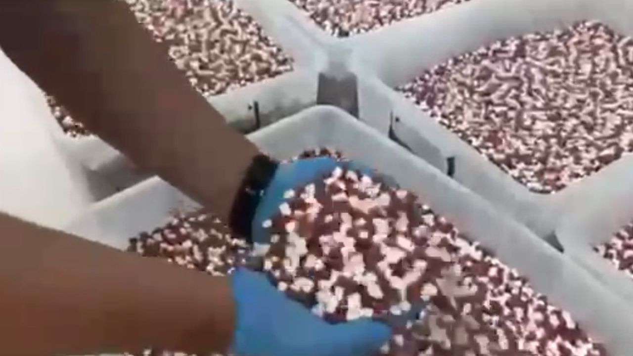 Antalya’da uyuşturucu imalathanesine operasyon: 1 milyon 888 bin 830 sentetik ecza hap ele geçirildi