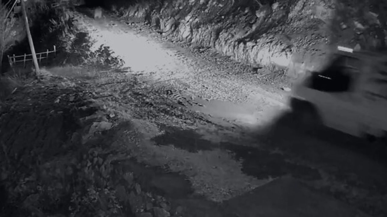 Araklı Bahçecik'te Ayı Evlere Zarar Verdi; Kamyonetiyle Kovalayan Vatandaşın Anları Kamerada