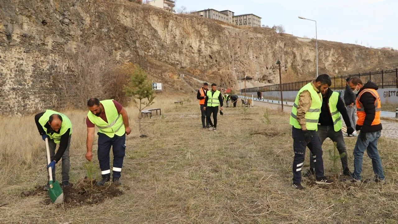 Ardahan Belediyesi 11 Kasım Milli Ağaçlandırma Günü'nde Halil Efendi Mahallesi'nde fidan dikti