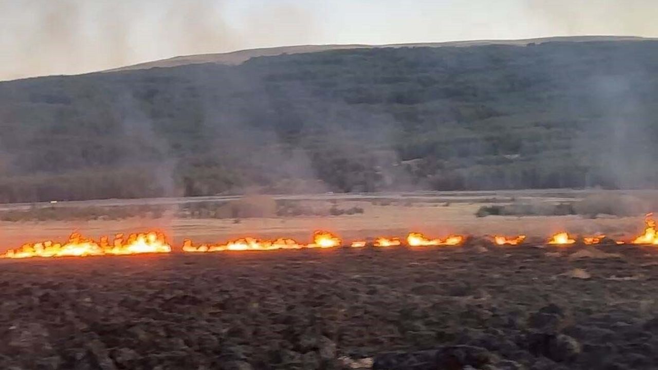 Ardahan'da Putka Gölü'ndeki Sazlık Yangını Söndürüldü