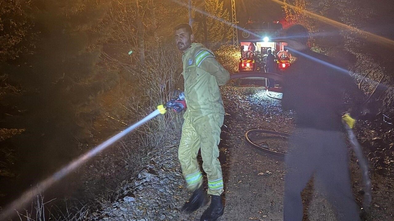 Artvin'de Ortaköy Çalışkanlar Mahallesi'nde zirai yangın kısa sürede söndürüldü