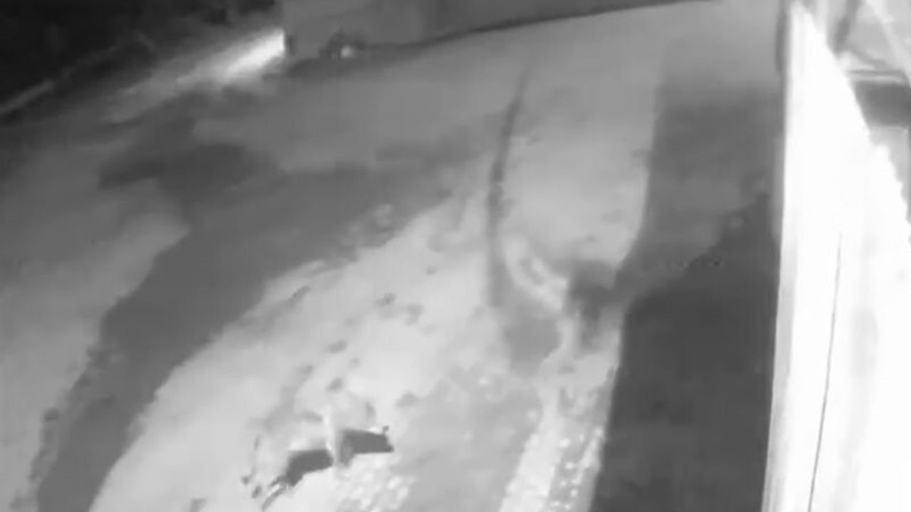 Aşkale Karahasan’da aç kalan kurtların köye inmesi köylüleri tedirgin etti