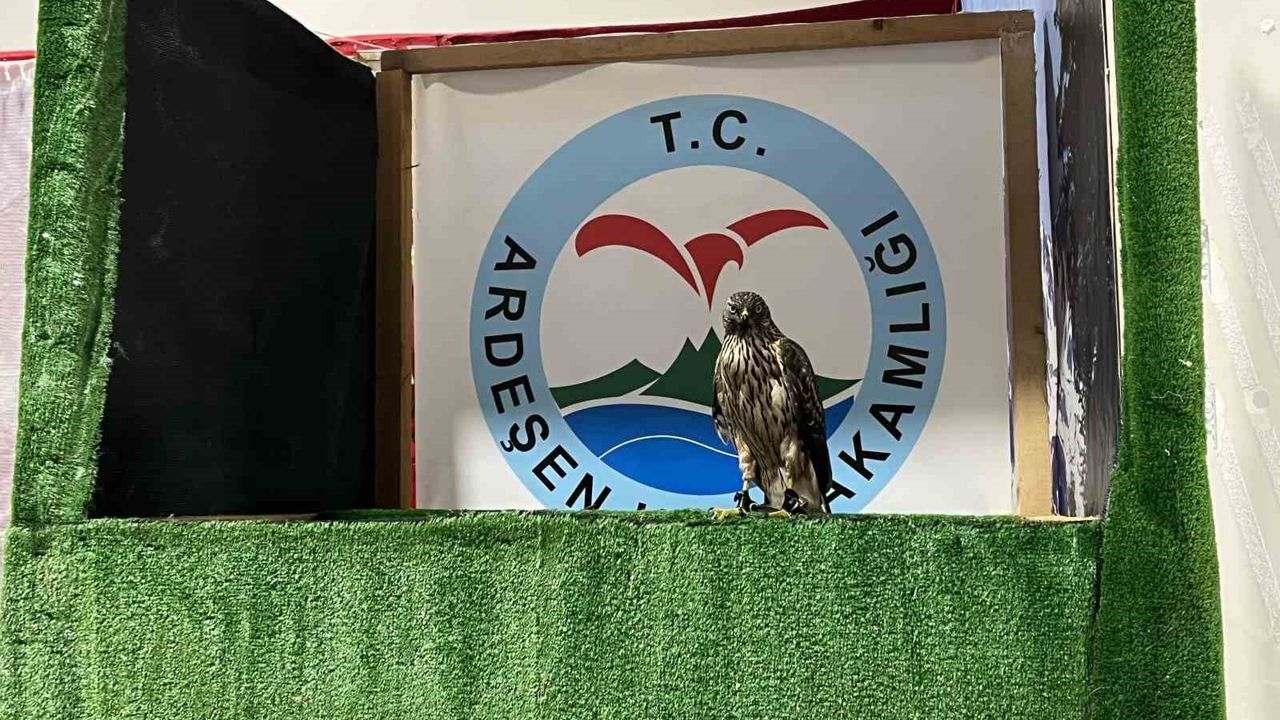 Atatürk Havalimanı Millet Bahçesi'nde 14. Rize Günleri başladı