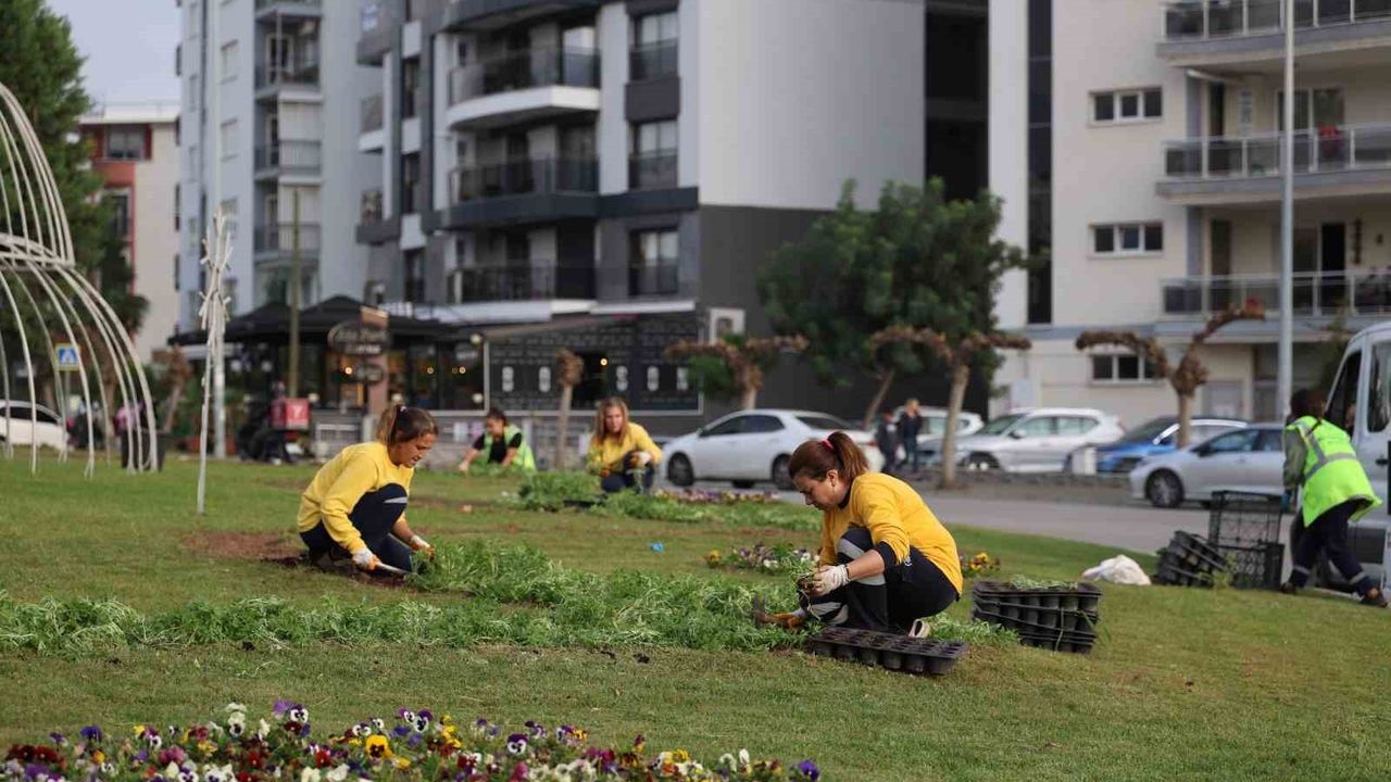 Aydın, 350 bin mevsimlik çiçekle şehri renklendiriyor — 17 ilçede kapsamlı çiçeklendirme