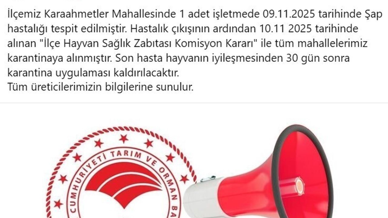 Aydın Bozdoğan'da şap tespit edildi: Tüm mahalleler karantinaya alındı