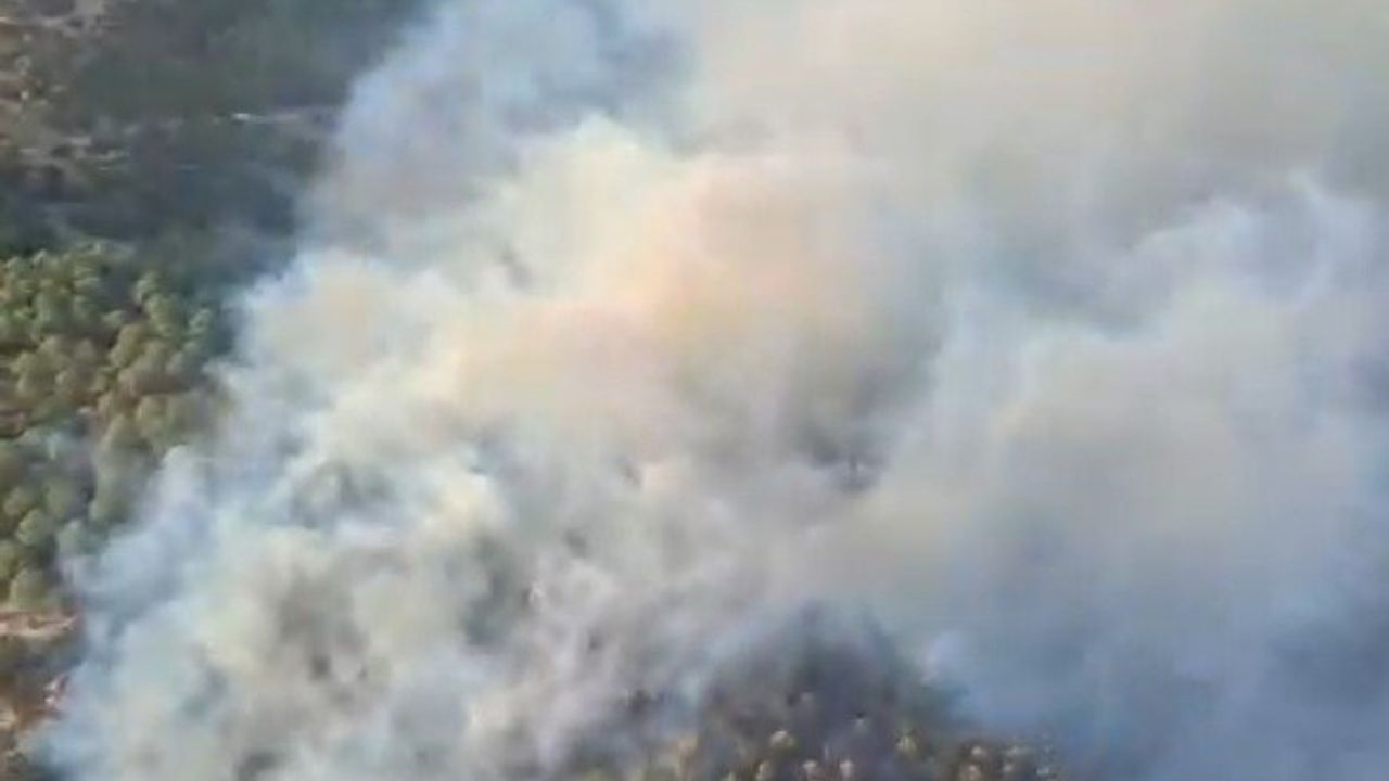 Aydın Bozdoğan'da ziraat alanında başlayan yangın ormana sıçradı, müdahale sürüyor