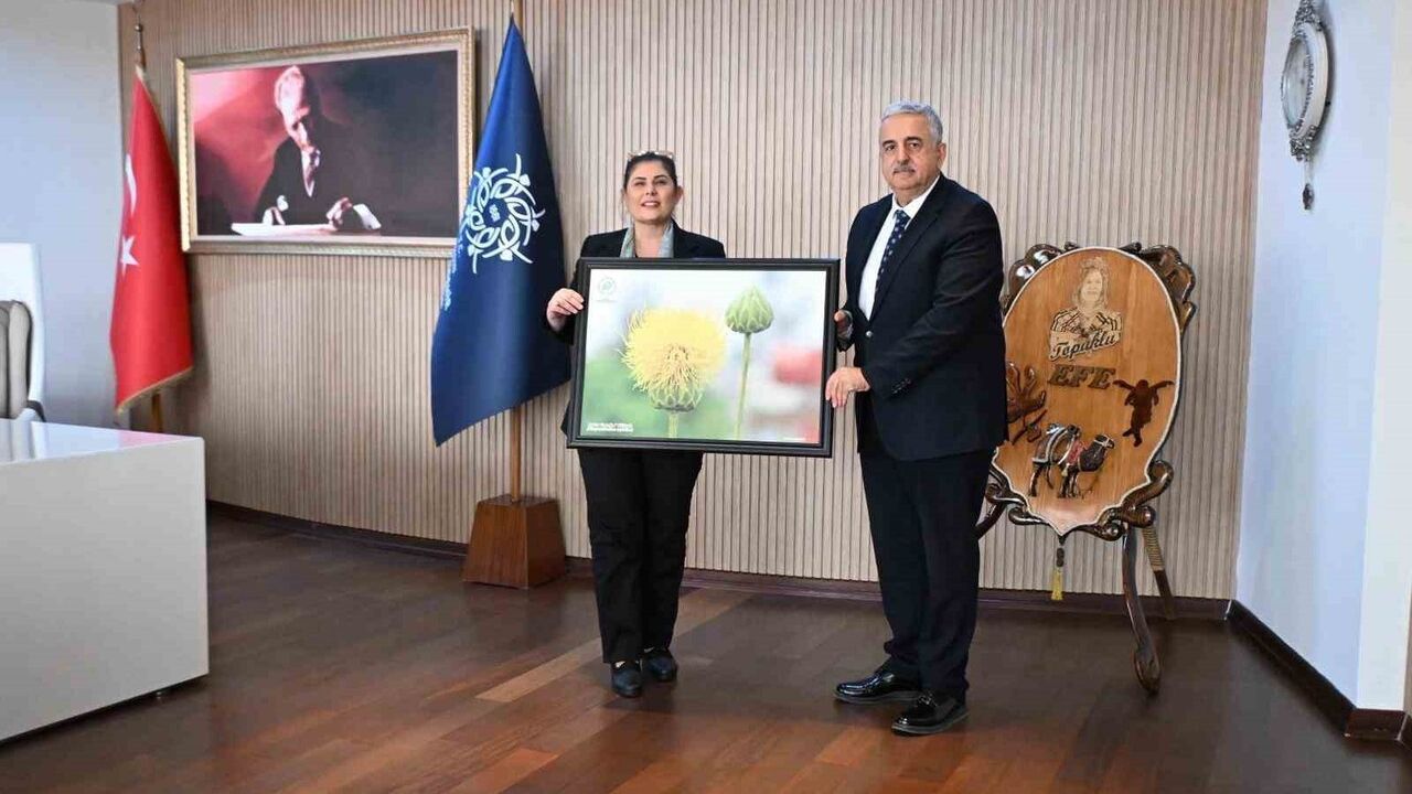 Aydın'da 217 Milyon TL'lik Protokolle Sokak Hayvanları İçin Doğal Yaşam Alanı Kurulacak