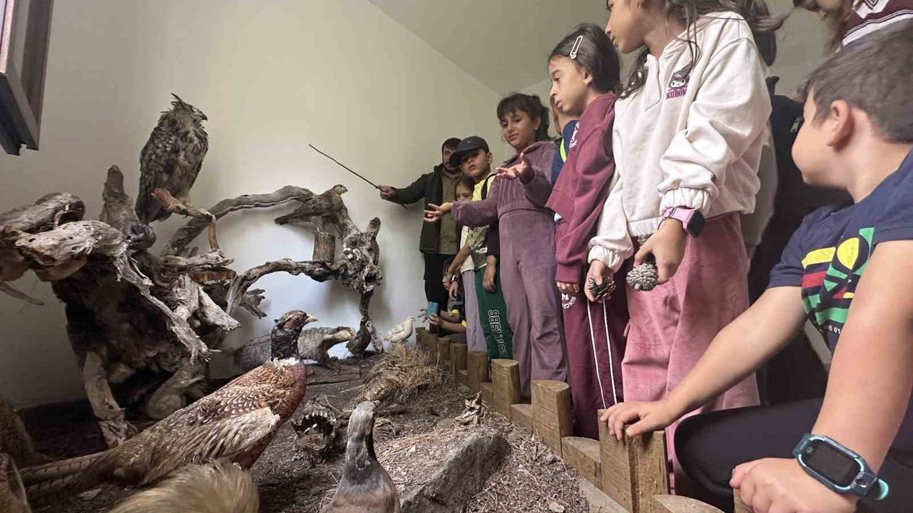 Aydın'da öğrenciler Doğa Eğitim Merkezi'nde yaban hayatını tanıdı