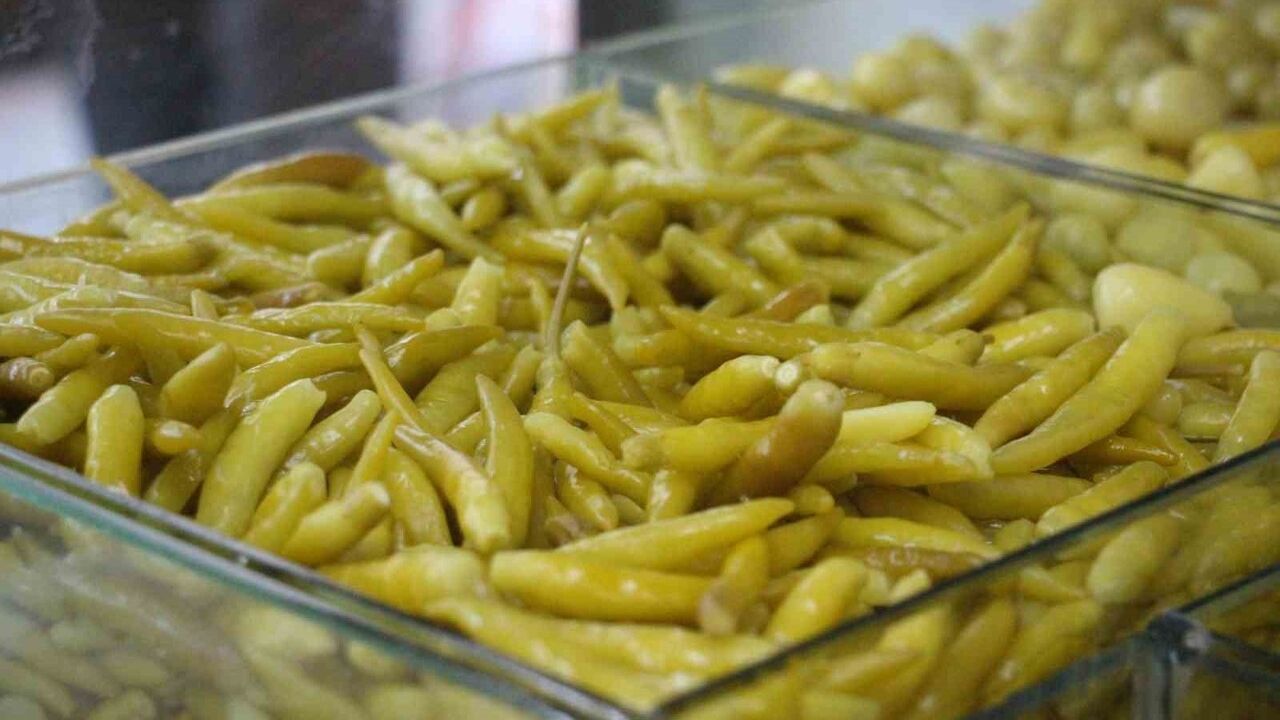 Aydın'da yarım asırlık turşucu Hüseyin Nurlu: Turşu suyunun bağışıklığa katkısını vurguladı