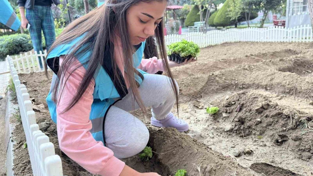 Aydın'da Yurt Öğrencileri Fidan Dikimi ve Çiçeklendirme ile Yaşam Alanlarını Yeşillendirdi