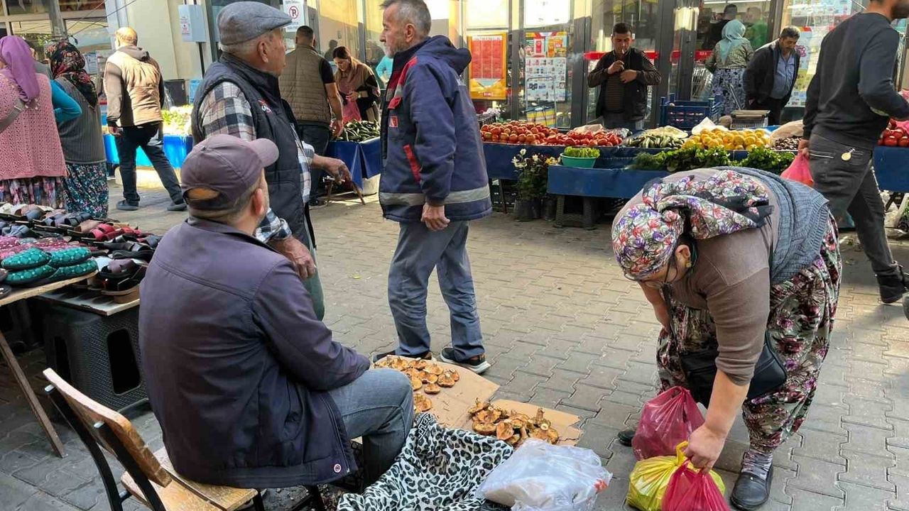 Aydın Koçarlı Pazarında Çıntar Tezgâhlarda: Kilo Fiyatı 500 TL