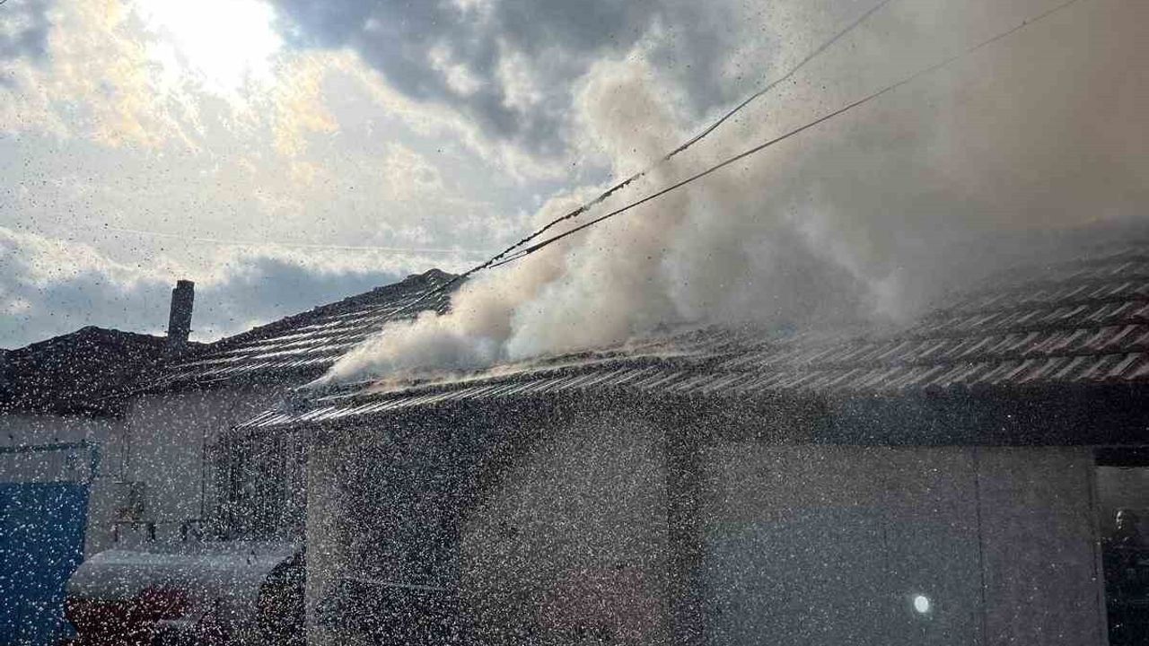 Ayvalık Altınova Mahallesi'ndeki depoda yangın itfaiye tarafından söndürüldü