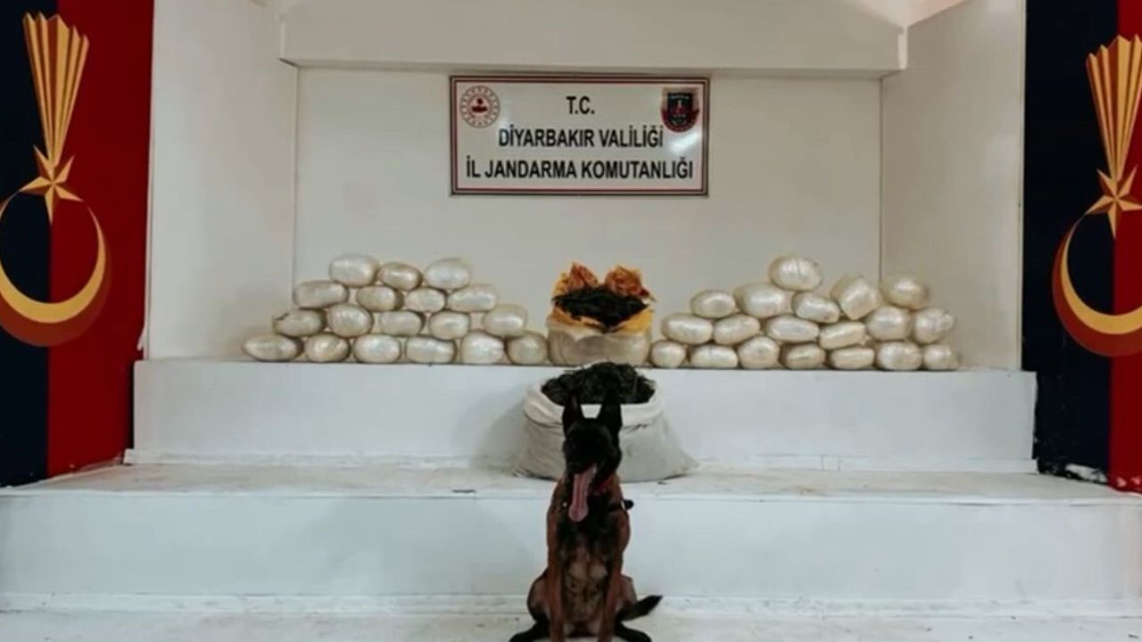 Bakan Yerlikaya: Diyarbakır'da 555 kilogram uyuşturucu ele geçirildi