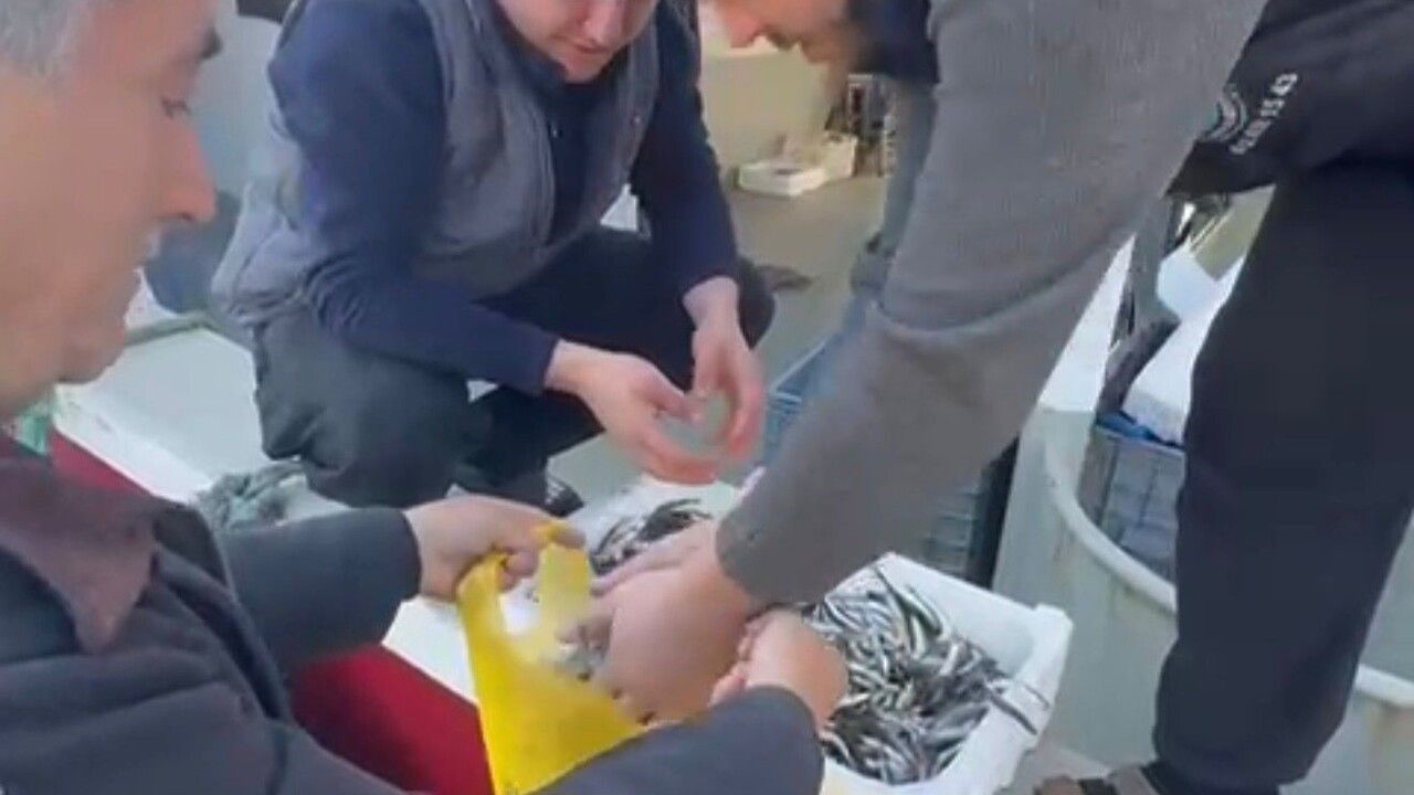 Balıkçılar Bandırma’daki yüksek hamsi fiyatlarını ücretsiz dağıtımla protesto etti