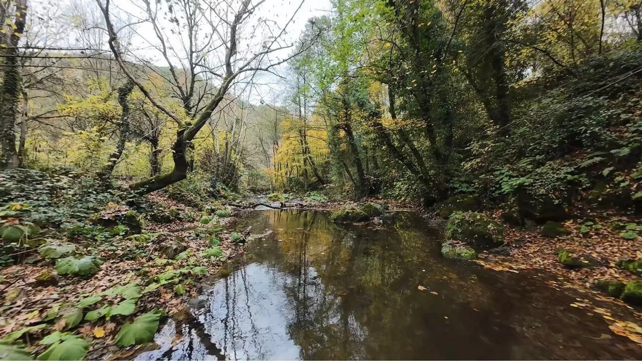 Başiskele sonbaharda görsel şölen sunuyor: Yuvacık Aytepe ve Samanlı Dağları renklerle doldu