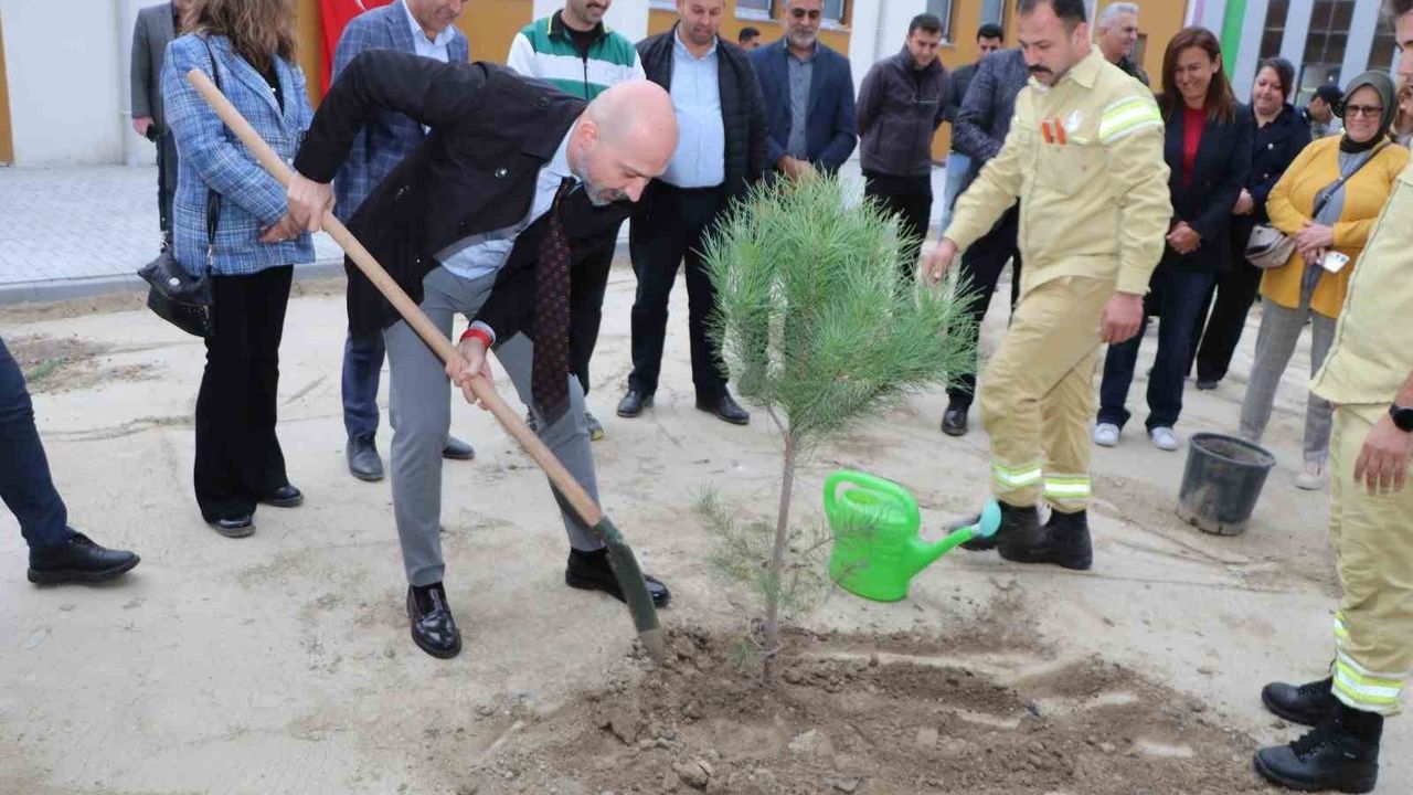 Başkan Arıkan: "Orman yoksa su da yok, yaşam da yok" — Söke'de fidan dikimi
