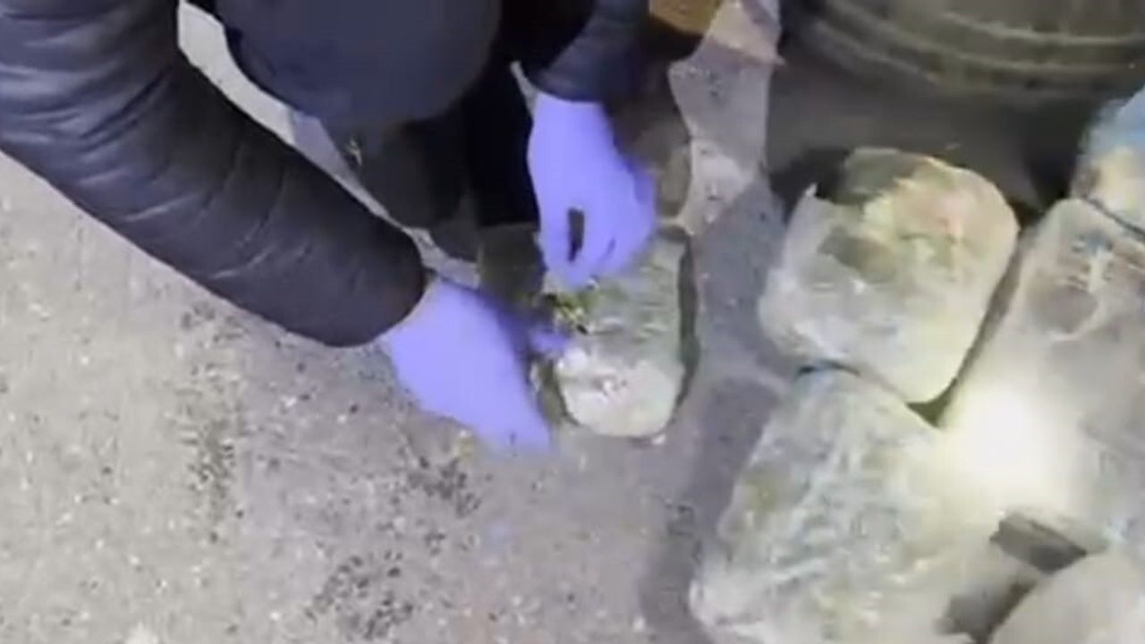 Batman’da Hector ile 12 kilogram uyuşturucu ele geçirildi