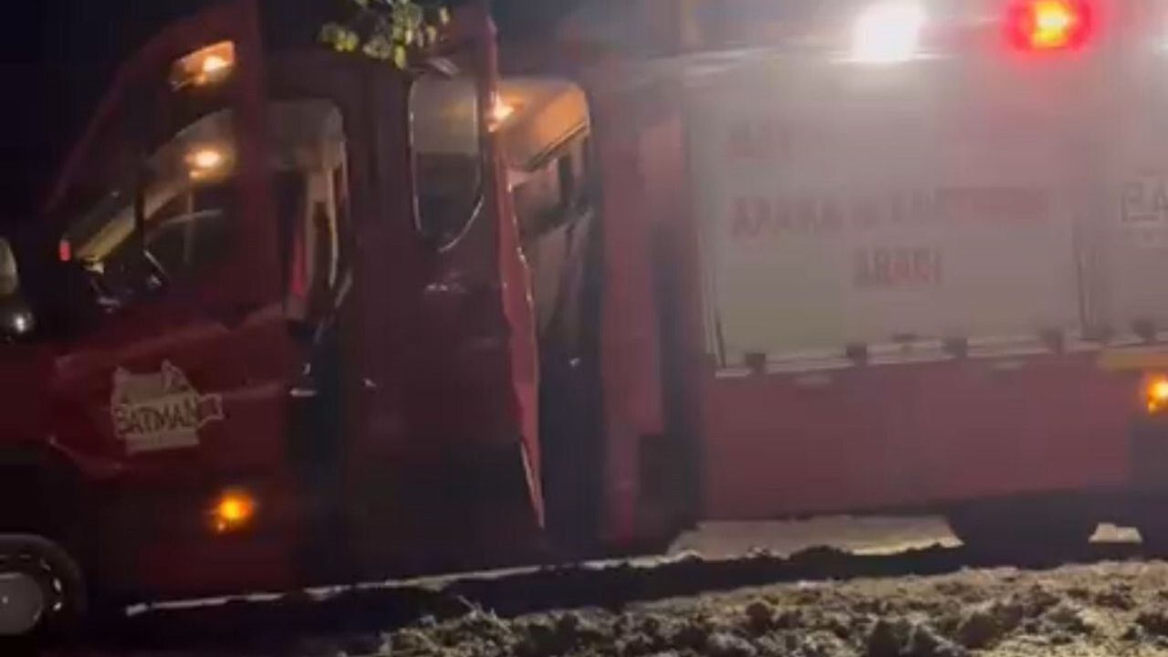 Batman'da su kuyusuna düşen çakal itfaiye ekipleri tarafından kurtarıldı