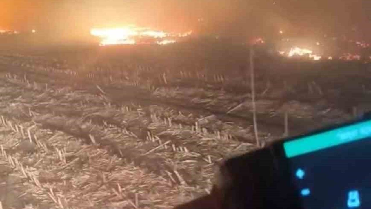 Batman'da tandır kıvılcımları 7 dönüm mısır tarlasını küle çevirdi