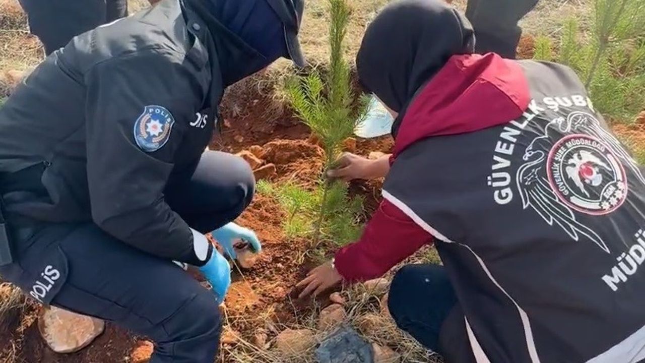 Bayburt’ta Emniyetten Hatıra Ormanı: 3 Bin Fidan Toprakla Buluştu