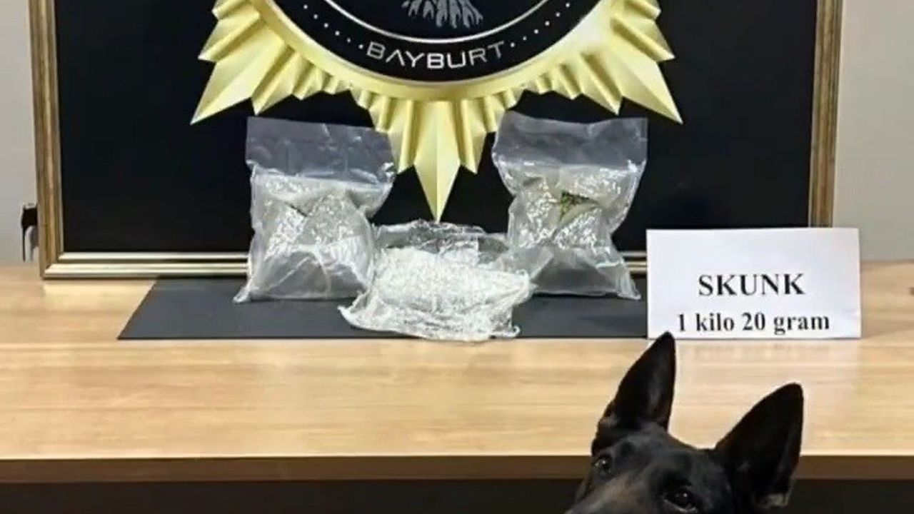Bayburt'ta otobüste 1 kilo 20 gram skunk ele geçirildi; şüpheli tutuklandı