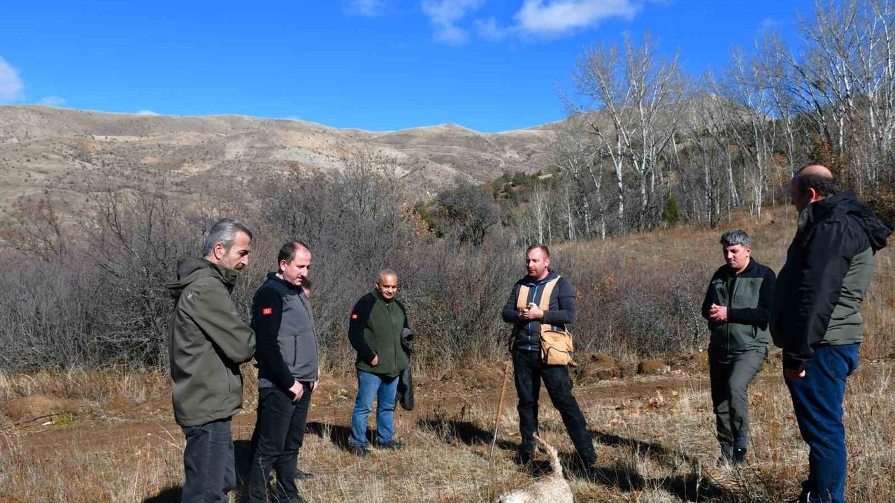 Bayburt'ta trüf mantarı keşfi: Trabzon Orman Bölge Müdürlüğü envanter çalışması başlattı