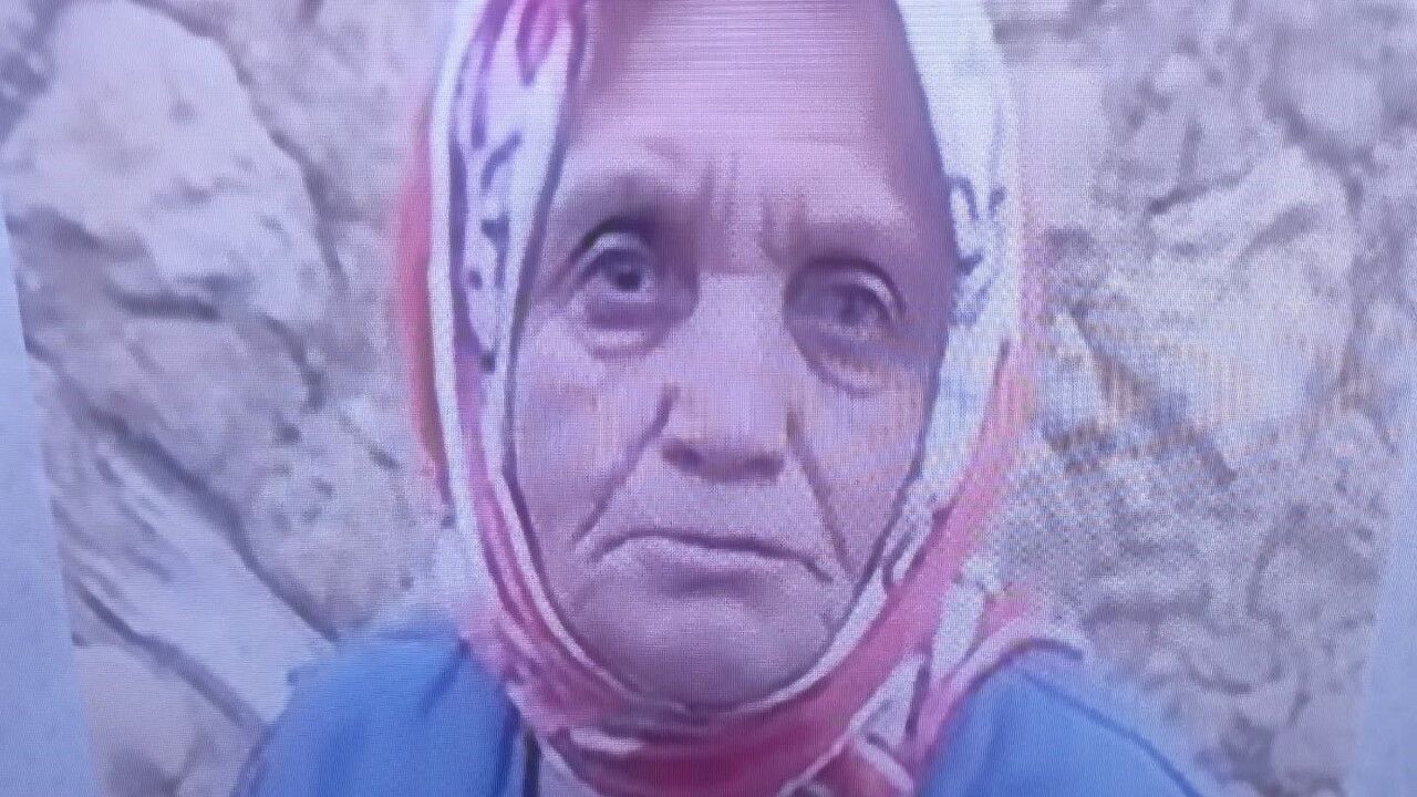 Bayramören'de mantar toplamak için ormana giden 82 yaşındaki Behiye Yavuz için arama çalışmaları sürüyor