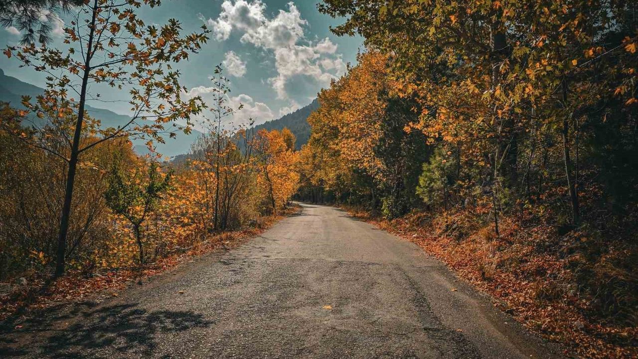 Belemedik Tabiat Parkı'nda sonbahar renkleri: Pozantı'da çınar ağaçları öne çıkıyor