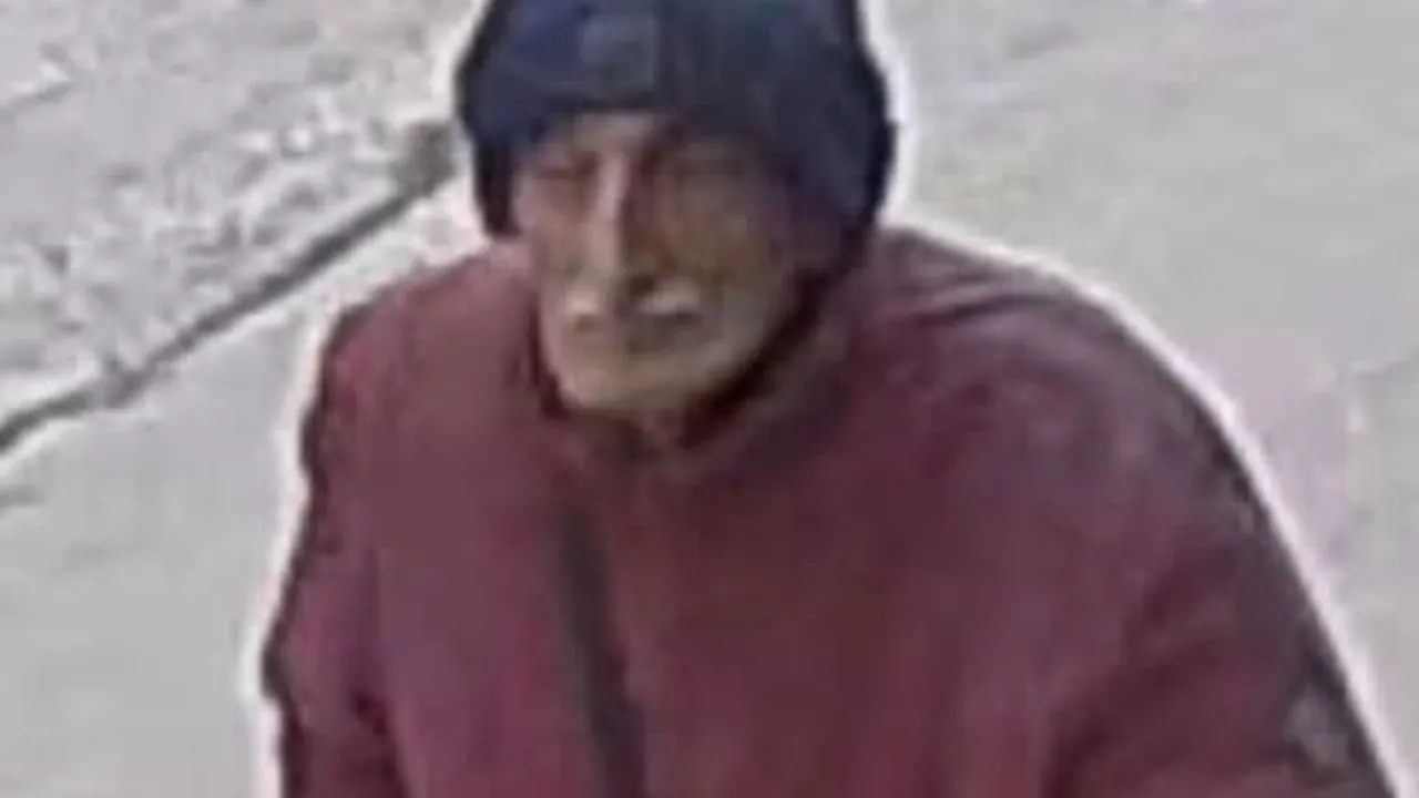 Bergama'da 75 yaşındaki Alzheimer hastası makilik alanda ölü bulundu