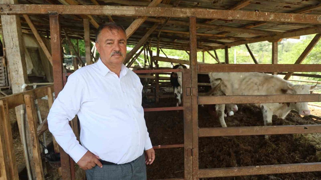 Beyağaç Belediye Başkanı Sezayi Pütün: "10 yıl sonra tarım üretimi yapacak kimse kalmayacak"