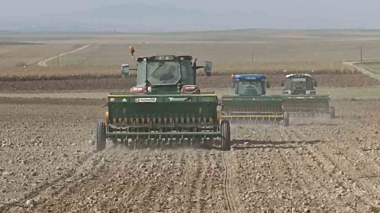 Beylikova Belediyesi, toprak analizleriyle hububat ekimine başladı