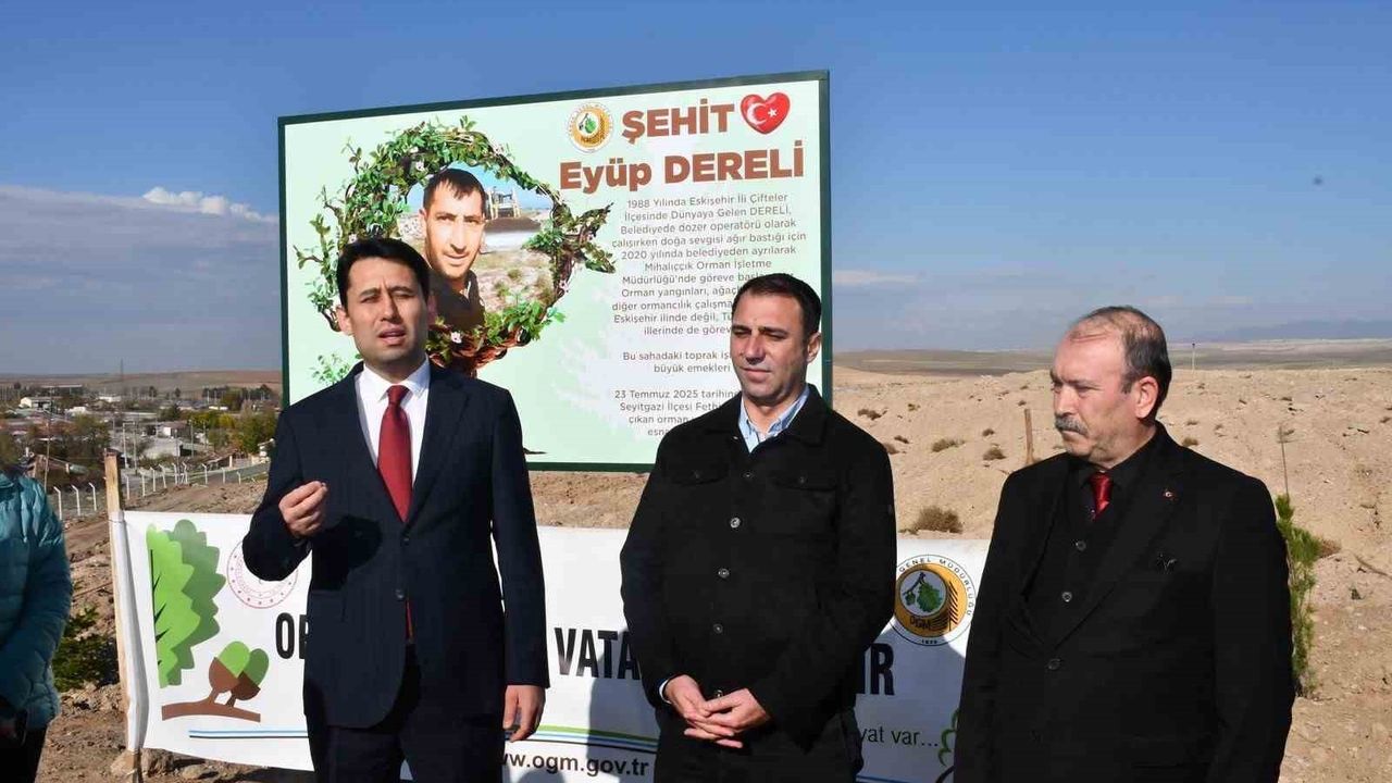 Beylikova’da Şehit Eyüp Dereli Anısına 80 Dönümlük Alana 5 Bin Fidan Dikildi