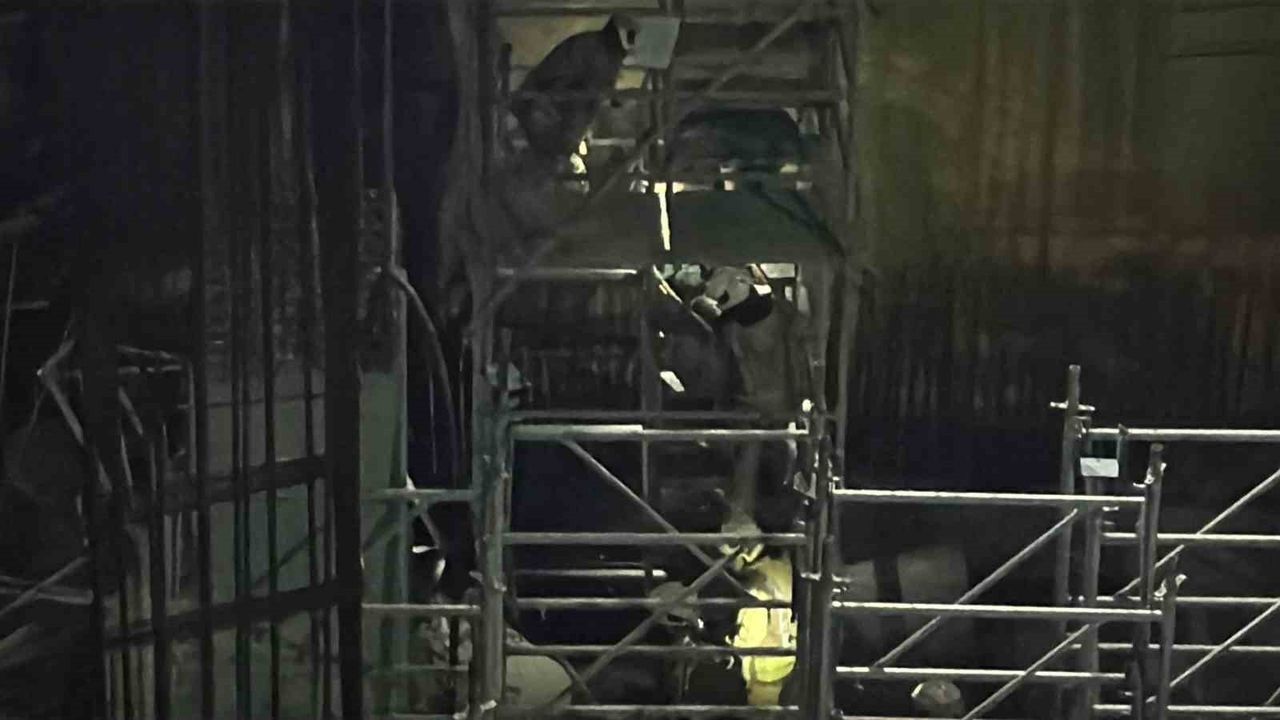 Beyoğlu M7 Metro İnşaatında 6. Kat İskele Çökmesi: 2 İşçi Yaralı Kurtarıldı