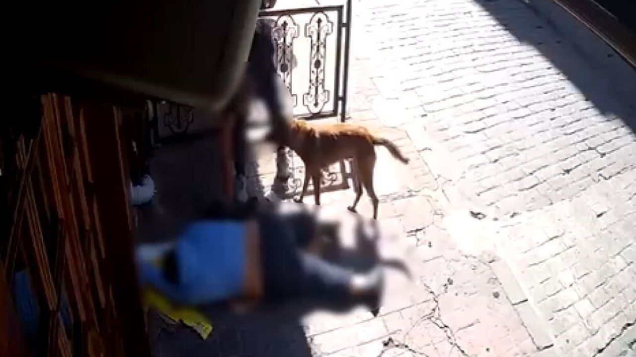 Beyoğlu'nda sara nöbeti geçiren kişinin kıyafet ve telefonu çalındı; 2 şüpheli 2 ay sonra yakalandı ve tutuklandı