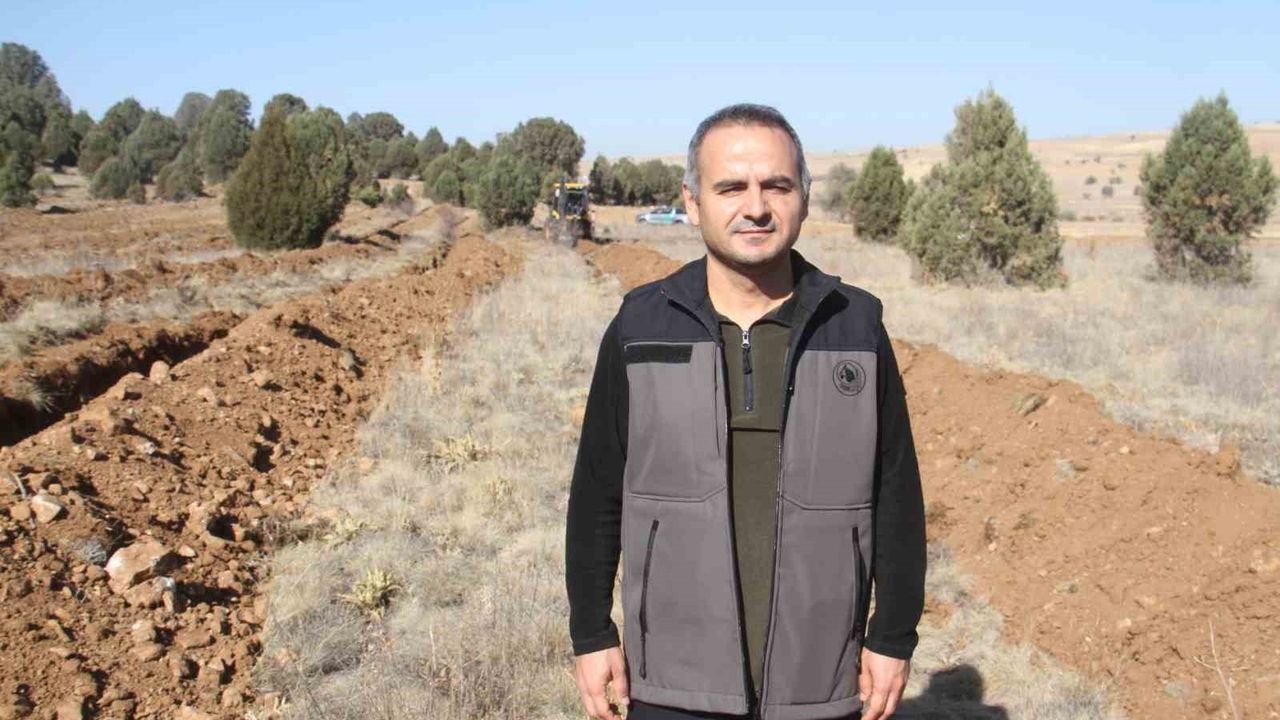 Beyşehir'de 11 bin orman fidanı 11 Kasım'da toprakla buluşturulacak