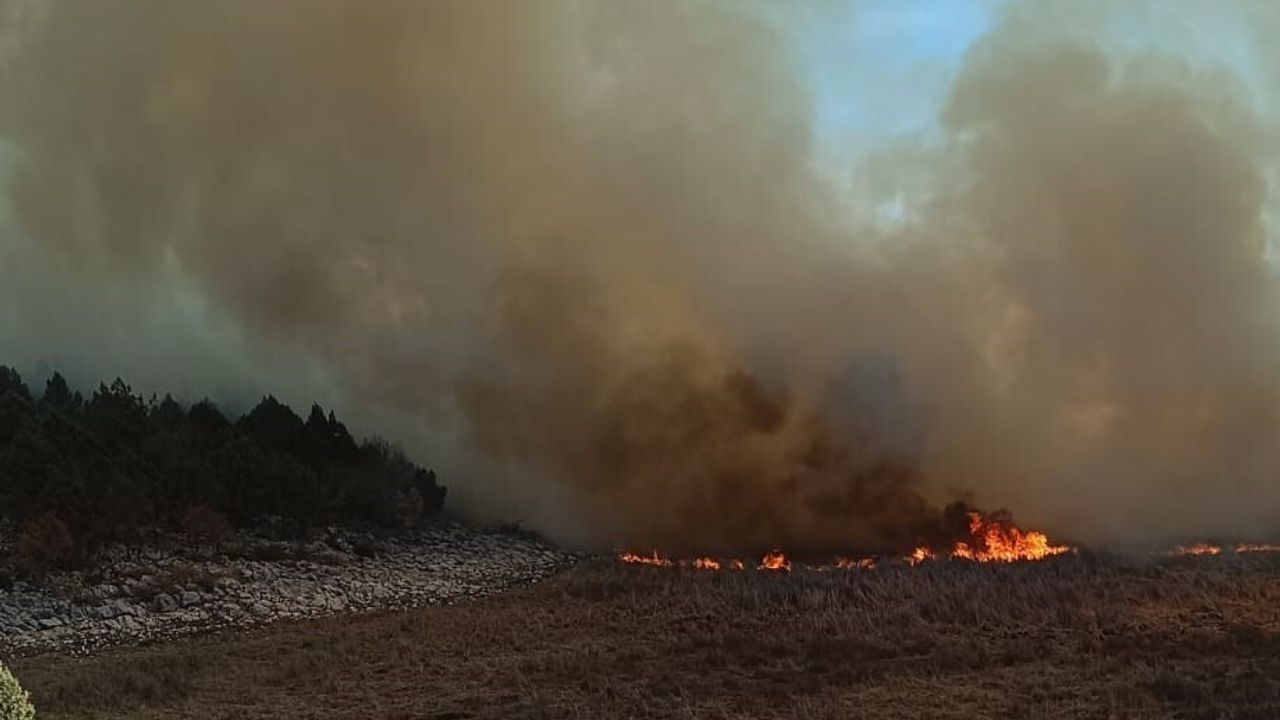 Beyşehir'de iki ayrı sazlık yangını kontrol altına alındı