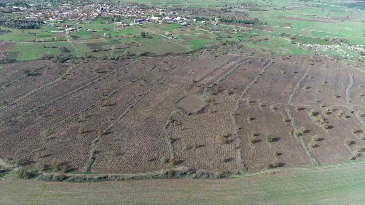Biga'da 2 Yılda 845 Dekar Mera Alanına Tohum ve Gübre Atımı Yapıldı