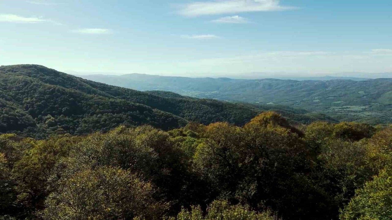 Biga’da Ormanlar Sonbaharın Renklerine Büründü — Havadan Görüntülendi