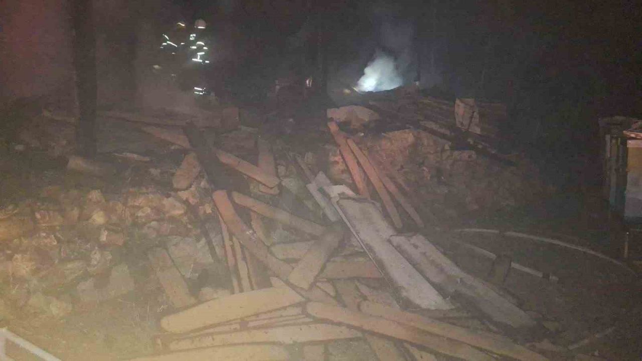 Bilecik Örenköy'de arı kovanlı sundurmada yangın — kovanlara zarar gelmedi