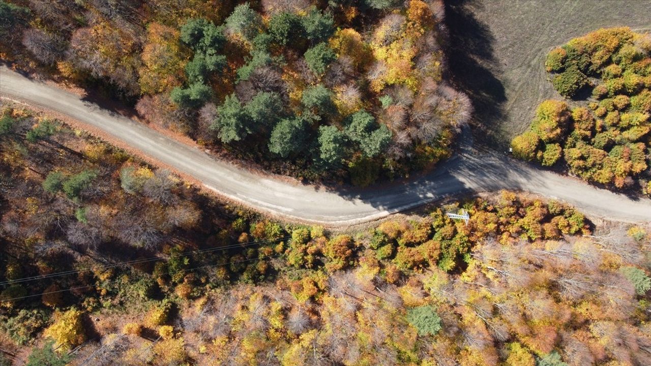 Bilecik ormanları sonbahar renklerine büründü: Küçükelmalı Tabiat Parkı ve Bozcaarmut Göleti