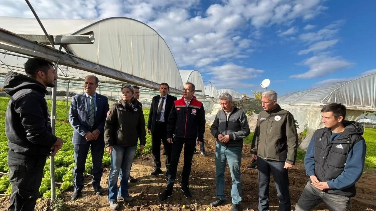 Bilecik'te 52 çiftçinin serası 38,5 ton naylonla yenilendi