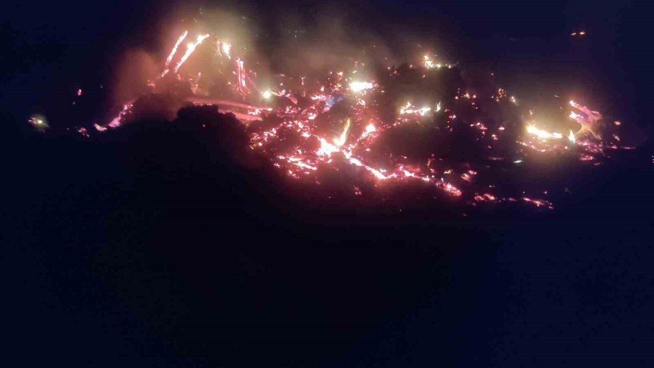 Bilecik'te kontrollü ağaç yakımı rüzgârla yayıldı; itfaiye ve belediye ekipleri müdahale etti