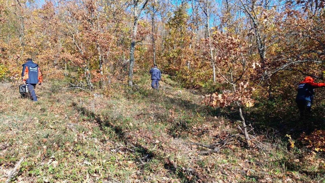 Bilecik'te mantar için ormana giren İsmail Kaya için 96 kişilik arama sürüyor